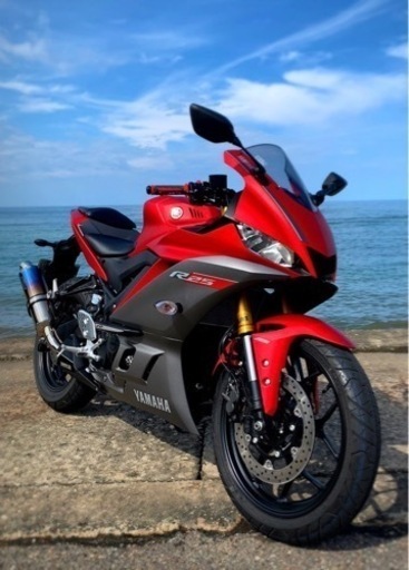 YZF-R25 ABS 2019年式