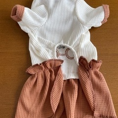 【新品】クマのワンピース / 犬用の画像
