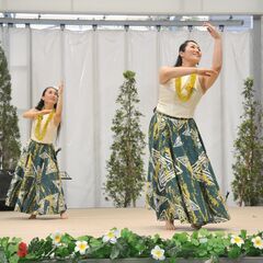 【マハナティアレ】熊本フラダンス教室　生徒募集中！の画像