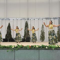 【マハナティアレ】熊本フラダンス教室　生徒募集中！の画像