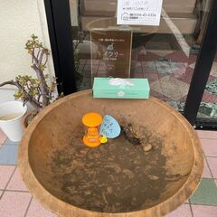 ［完売しました］採れたて！じゃがいも詰め放題 1袋 100円！