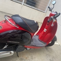 原付  スクーピー  限定車