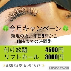 6月キャンペーン　マツエク、リフトカール