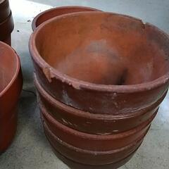 植木鉢10個の画像