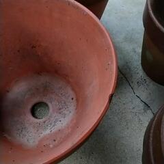 植木鉢10個の画像