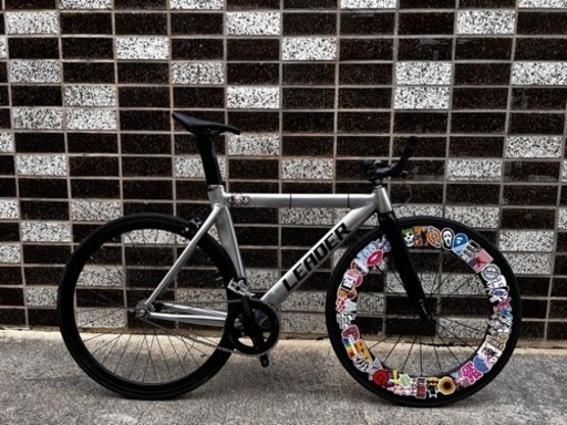 リーダー725TR polish
