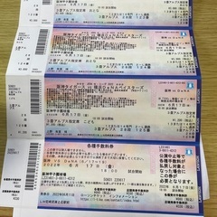 6月17日　18時からの阪神タイガースVSDeNA戦　大人2名　...