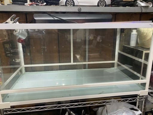 爬虫類　蛇　トカゲ　飼育セット