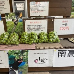 南高梅　無人販売　詳細必読です。