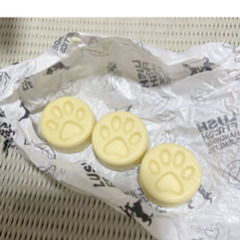 LUSHのチャリティポットコイン