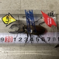 ミヤマクワガタ