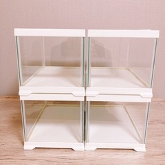 【1つからでもまとめてご購入でも⭕️】レプテリア300 ROW 
