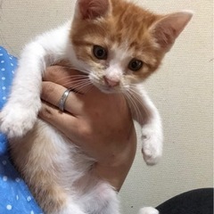 里親様決まりました(*^^*)