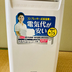 2020年製　アイリスオーヤマ　衣類乾燥除湿機　 DCE-6515