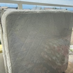 シングルベット