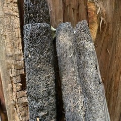 植木の支柱のような棒の画像