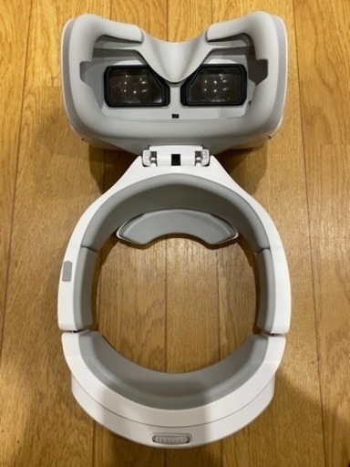 DJI Goggles