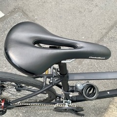 クロスバイク/コーダブルーム/RAIL DISC/サイズ480/ブラックの画像