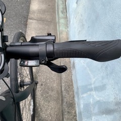 クロスバイク/コーダブルーム/RAIL DISC/サイズ480/ブラックの画像