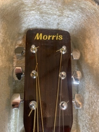 Morrisギター　MODEL NO MD-506TS