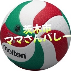 9人制バレーボール部員急募✨