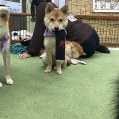 できれば40歳以下の方で男女問わず
