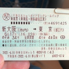 【本日6/17かぎり。新大阪駅にて受け渡し】新大阪駅→東京駅　新...