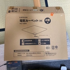 ホットカーペット、年明けまで通常に使っていました