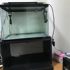 ニッソー60ワイド水槽セット