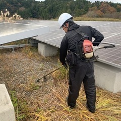 太陽光発電所での草刈り(愛媛県西予市宇和町)の画像
