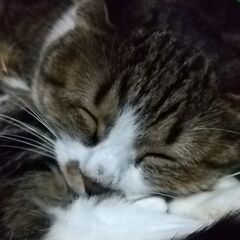 ずーっと助け合えたら