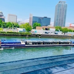 ウォーキング・散歩友達募集✨