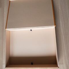ルイ ヴィトン _シャンゼリゼ本店でバック購入した時の箱&袋　手渡でお願いします。の画像