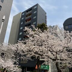 ホテル清掃スタッフさん募集しています