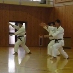 古武術の身体づかいを伝える　伝統空手を学ぼうの画像