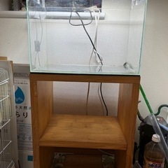 ＡＤＡ水槽45cmとＡＤＡアクアスカイ45cm、水槽台と水槽用品の画像