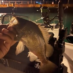 釣り