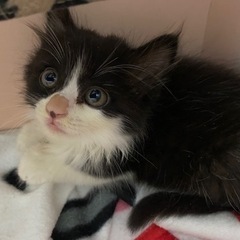 たくさんの連絡ありがとうございます。一時受付終了させて頂きます。 − 千葉県