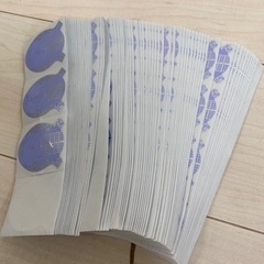 フルーリア　スカルプフォルム480枚の画像