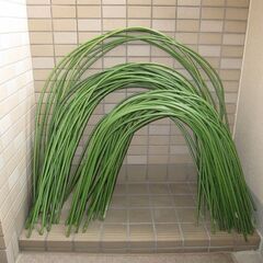 園芸用　トンネル支柱