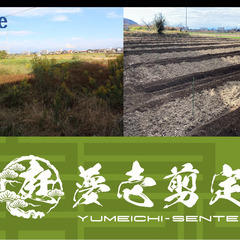 【愛媛県松山市の庭師】広いお庭、高所作業、害虫でお困りの方へ、剪定・伐採・消毒・芝刈りなどお庭の作業をお手伝いしますの画像