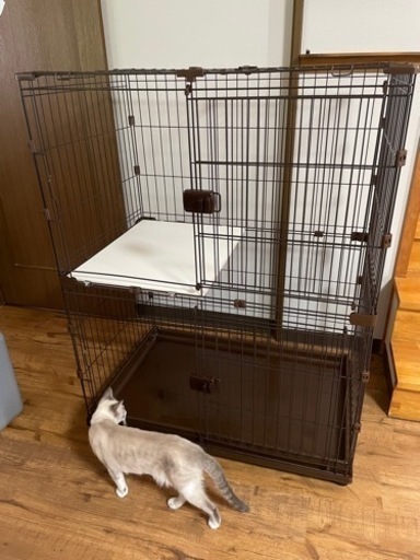 猫用2段ケージ