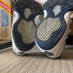 ナイキ スニーカー 28.5cm NIKE zoom の画像