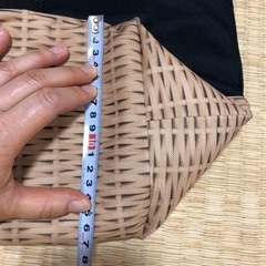 エコバッグ　特大　保冷バッグ　カインズホームの画像