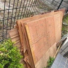 コンパネ　　ベニア　木材　あげます