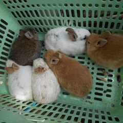 とっても可愛い