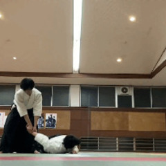 合気道稽古仲間募集 - メンバー募集