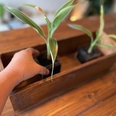 ウッドボックス(レトロ調)