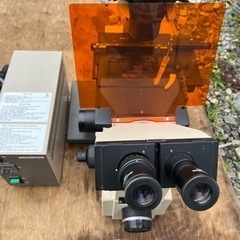 olympus顕微鏡