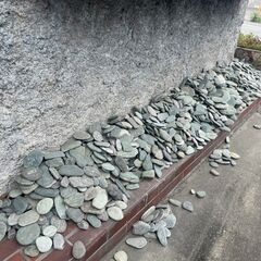 直接引き取り限定◇大量！四国の青石◇入手困難◇お早めにどうぞ！